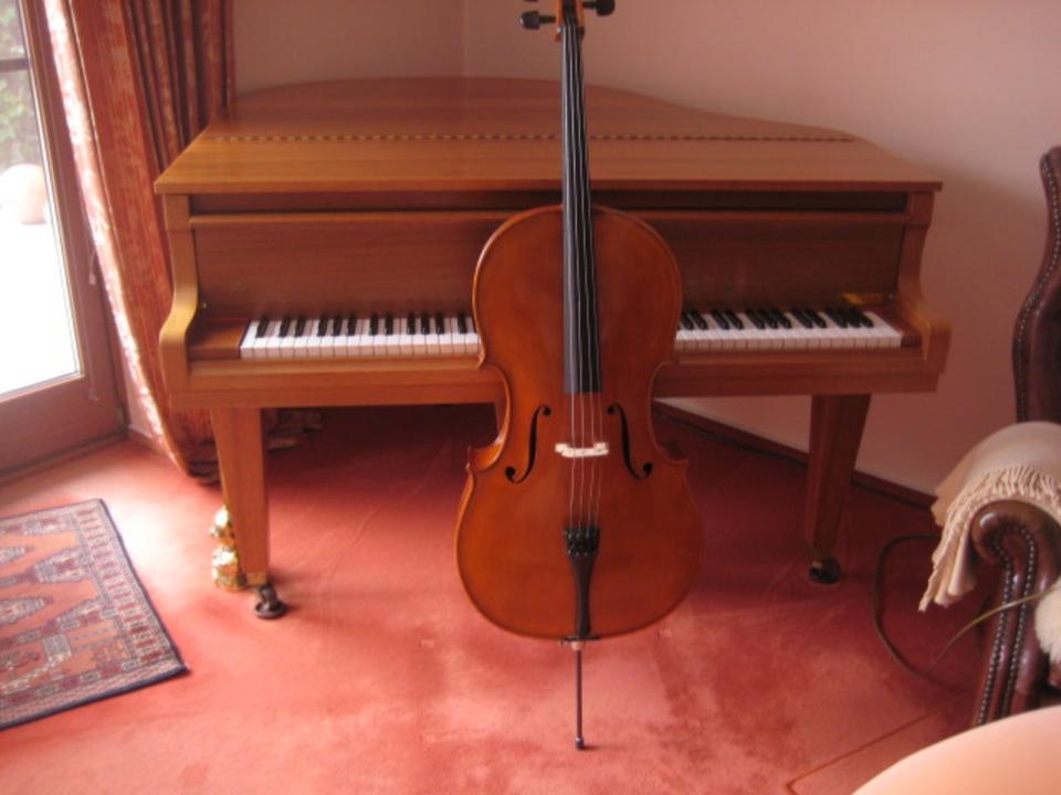MEISTER-CELLO MIT ZETTEL / GRÖßE 4/4 BAUJAHR 1979, BOLOGNA in Hollenstedt