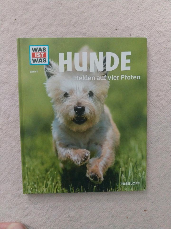 Hunde Buch in Fürth