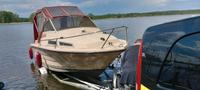 Wiener Boot mit 15 PS Motor und Trailer Sachsen - Pulsnitz Vorschau