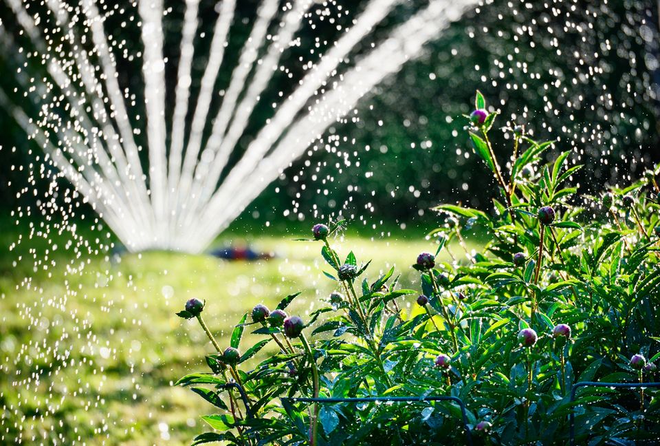 Gartenbewässerung, Regneranlage, Tröpfchenbewässerung, Beregnung in Bad Zwischenahn