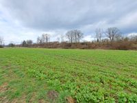 Ackerland und Wald in der Kirchdorfer Au Bayern - Kirchdorf a. Inn Vorschau