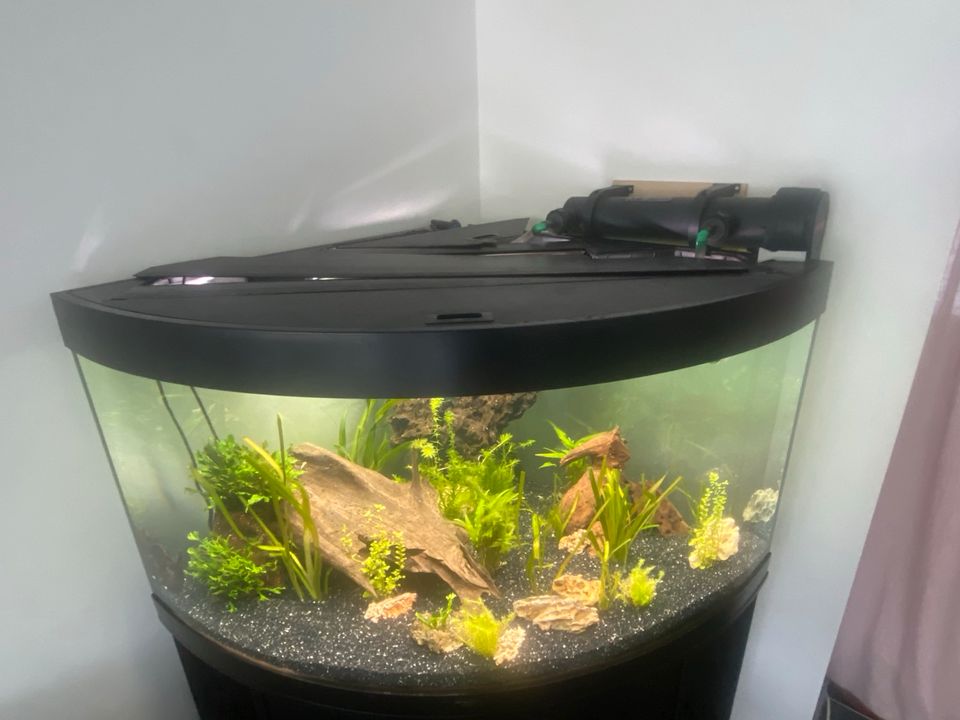 Aquarium Juwel 350 Liter Trigon Professional ***TOP*** in Mettmann