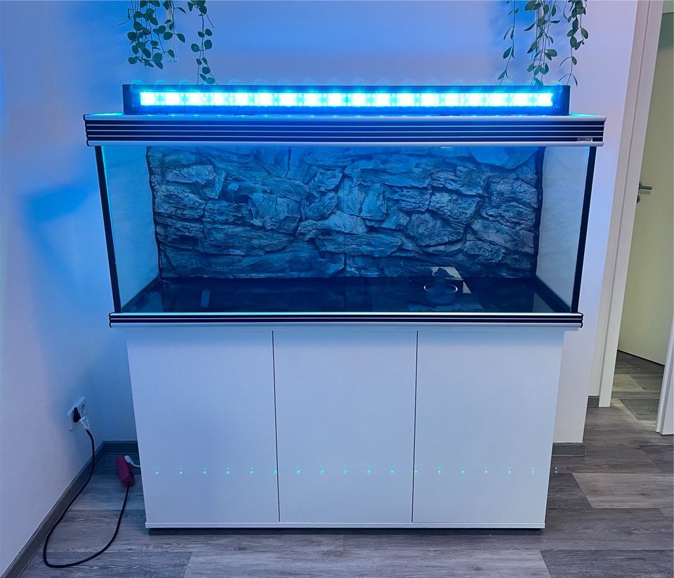 Komplett 450l Aquarium +Massen Zubehör //Helialux Spectrum in Zwickau