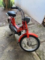 Moped/Mofa Piaggio Genova Bravo 50 Baden-Württemberg - Reichenau Vorschau