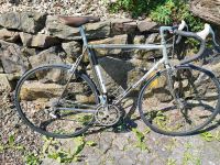 Rennrad Colnago Campagnolo Shimano Nordrhein-Westfalen - Medebach Vorschau