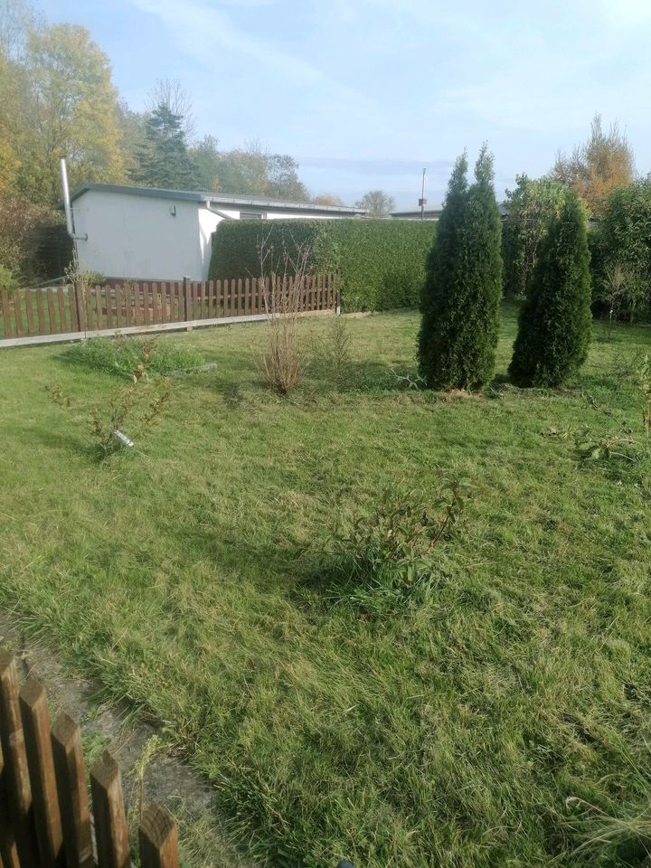 Gartengrundstück mit Laube ohne Pacht in Meuselwitz