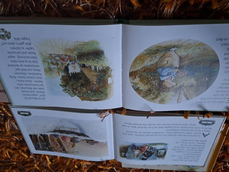 4er Set Kinderbuch Geschichten aus dem Fuchswald in Dresden