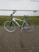 Fahrrad 28 Zoll (Alu-Rahmen) Sachsen-Anhalt - Magdeburg Vorschau