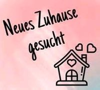 Wohnung/Haus/DHH Nordrhein-Westfalen - Lage Vorschau