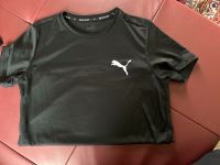 Puma Sport Shirt 146 / 152 Nordrhein-Westfalen - Erwitte Vorschau