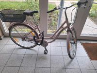 Pegasus Damenfahrrad hellrosa Brandenburg - Potsdam Vorschau