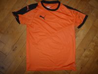 Puma Trikot Sport-Shirt Shirt Gr. 164 (218) Niedersachsen - Bohmte Vorschau