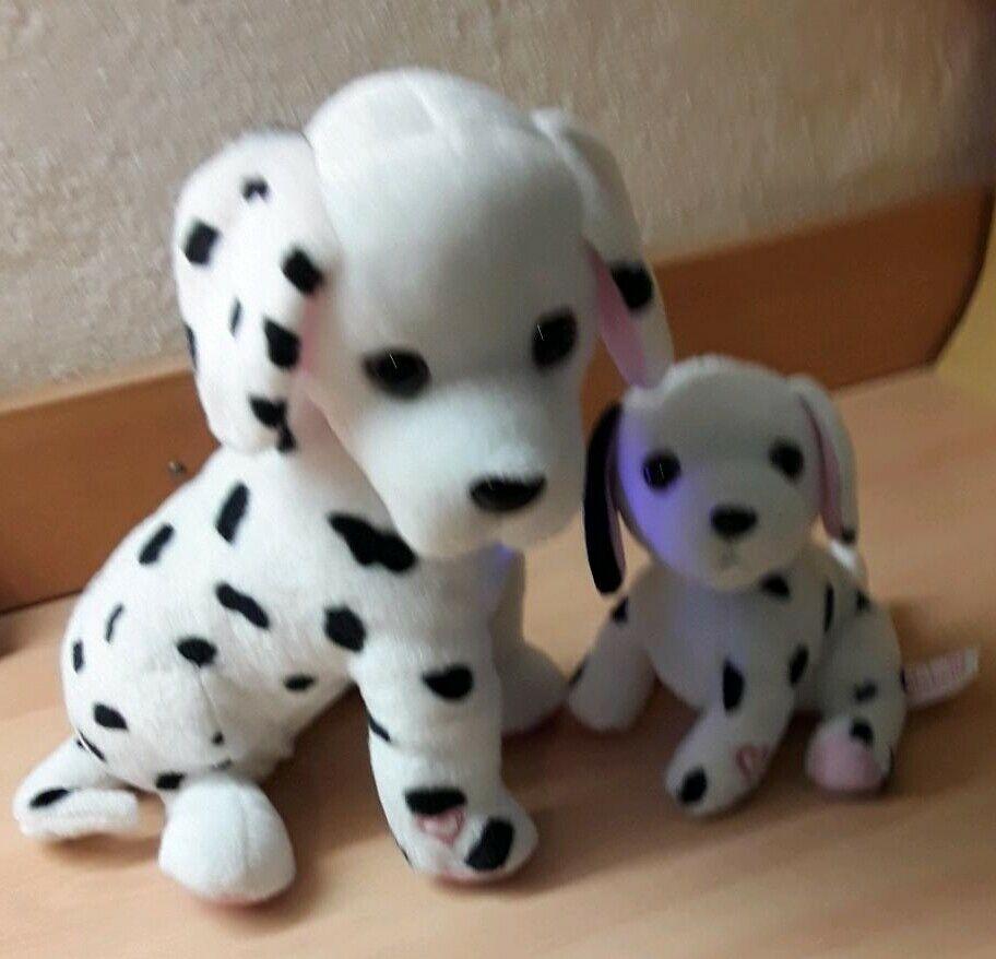 Hunde Mutter mit Kind, bellen,leuchten bei Trennung zusammentreff in Lübeck