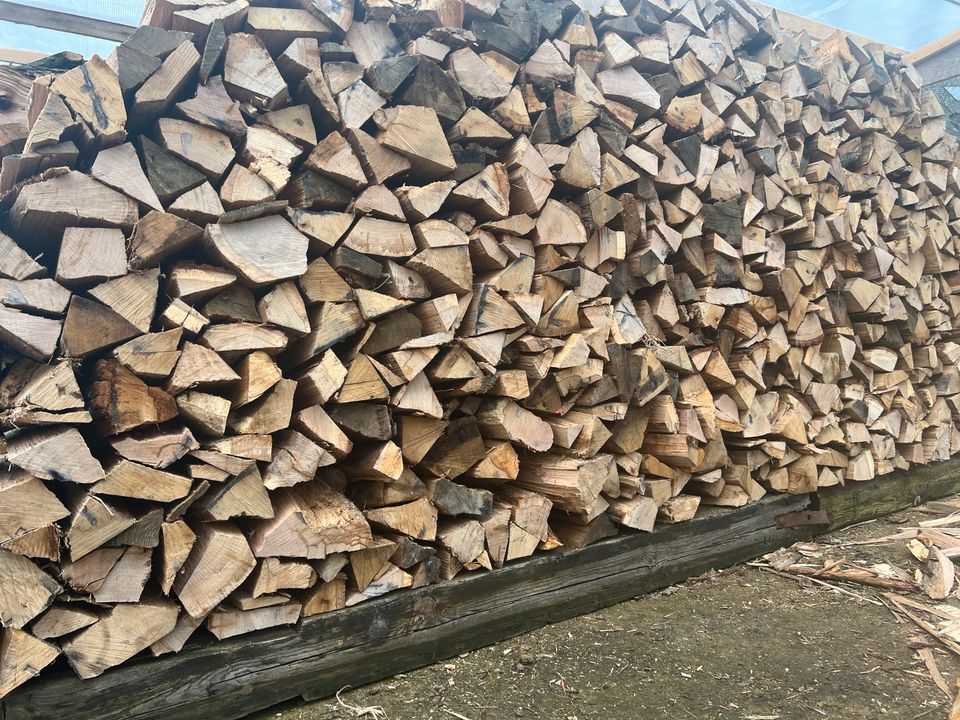 Kaminholz Brennholz Stammholz Eiche RM 124,00€ in Berlin