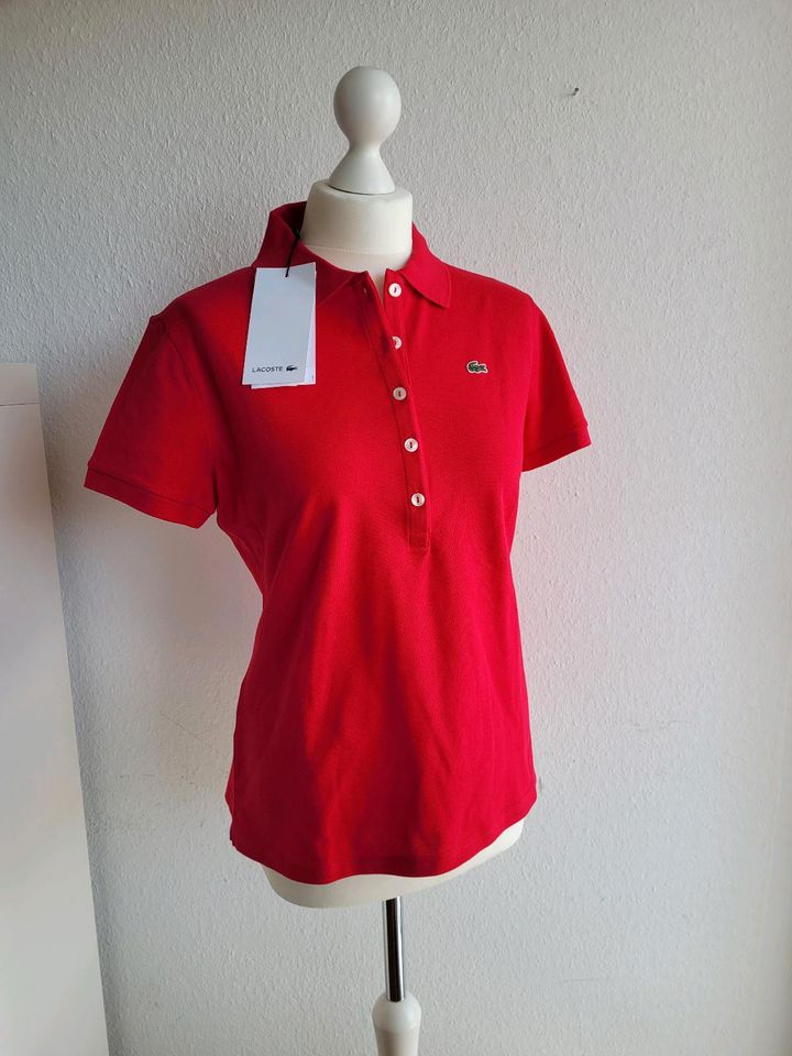 NEU Lacoste Polo Poloshirt Polohemd Damen 44 46 in München