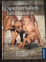Spielverhalten bei Hunden Buch Thüringen - Saalfeld (Saale) Vorschau