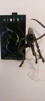 Alien 3 Sammlerfigur (Xenomorph) von NECA Thüringen - Frankenheim/Rhön Vorschau