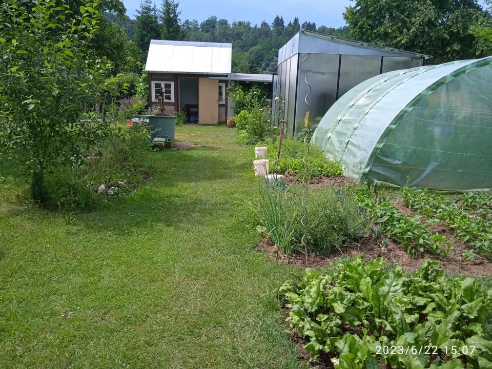 Schrebergarten in Frankenberg (Eder)