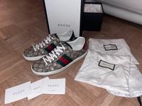 Gucci Schuhe  43 Frankfurt am Main - Oberrad Vorschau