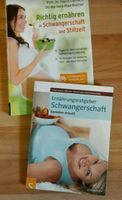 Buch Ratgeber Richtig ernähren Schwangerschaft/Stillzeit/Baby Dresden - Leubnitz-Neuostra Vorschau