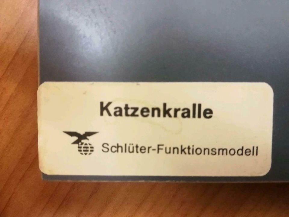 Schlüter Funktionsmodell Katzenkralle Schautafel Schule in Rostock