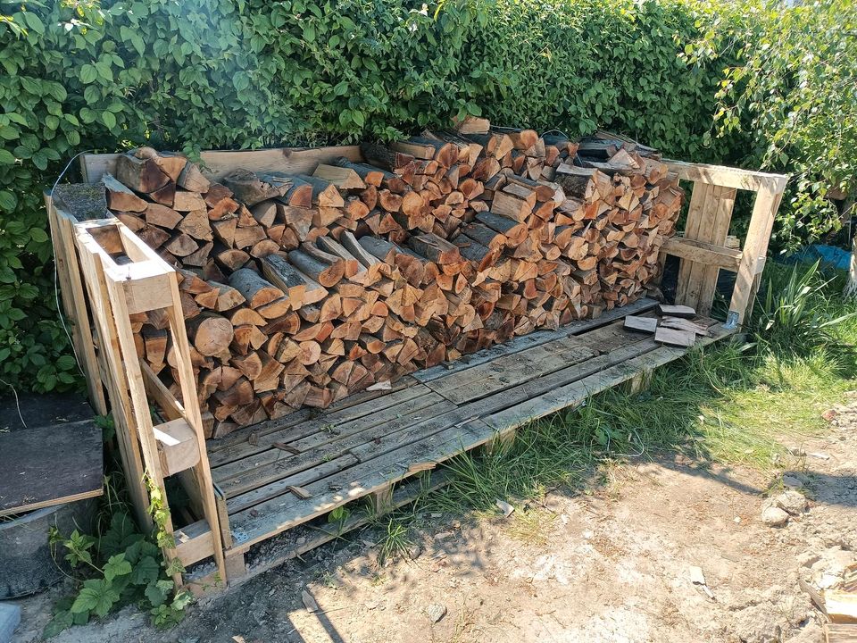 Brennholz Unterstand in Horn-Bad Meinberg