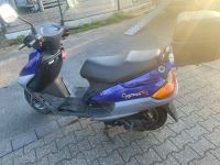 Yamaha Cygnus 125 Nordrhein-Westfalen - Herne Vorschau