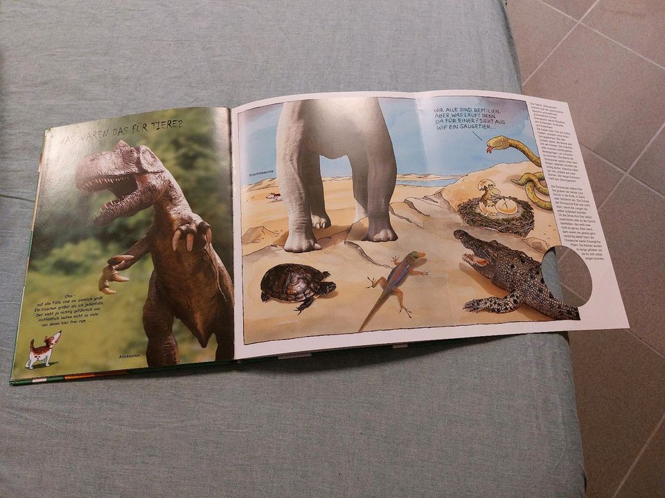 6 Bücher über Dinosaurier in Korschenbroich
