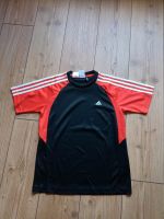 Trikot Adidas Sachsen-Anhalt - Teuchern Vorschau