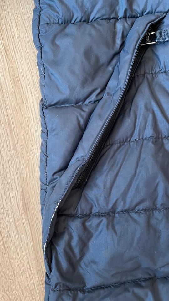 The North Face Daunen Steppjacke für Übergang, Gr. 146-152, 12J in Kerpen