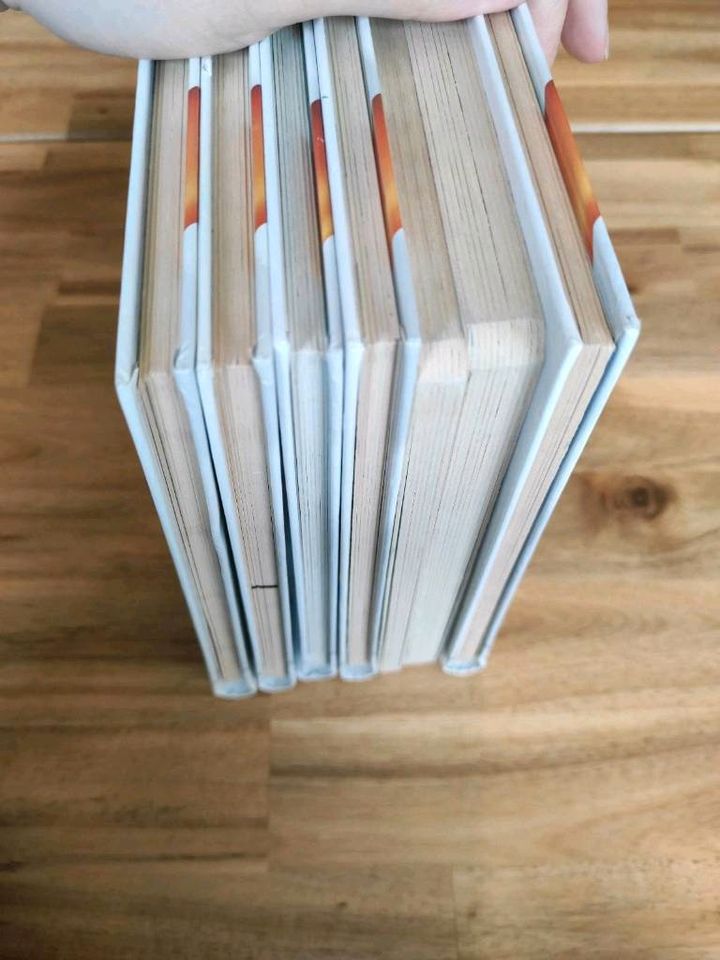 Tiptoi Bücher in Neumünster