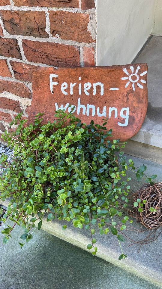 Dachziegel Garten Deko Kräuterspirale Wasserlauf Steinmauer in Weener