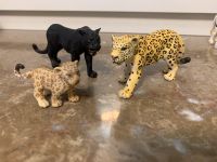 Panther, Leopard und Baby Nordrhein-Westfalen - Haltern am See Vorschau