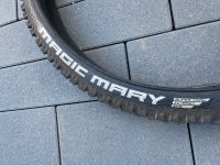 Schwalbe Magic Marry 29x2,4” SuperTrail Evo Addie soft Baden-Württemberg - Ettlingen Vorschau