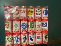 Coca Cola 1994/1995 Fußball 18 Dosen original verschweißt Bundes Brandenburg - Britz bei Eberswalde Vorschau