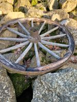 Holzwagenrad Kräuterspirale Leiterwagen Bayern - Falkenstein Vorschau