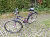 Damenfahrrad 28 Zoll Bayern - Kötz Vorschau