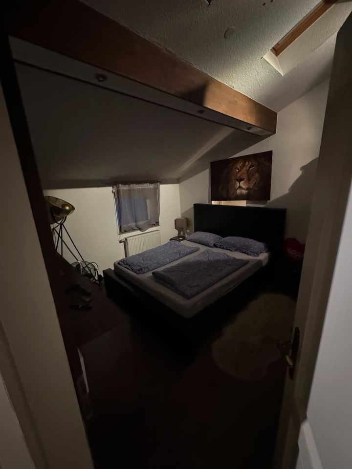 3 Zimmer Wohnung in Düsseldorf auf Zeit zu vermieten in Düsseldorf