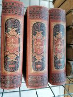 William Shakespeare - Shatspere 3 Bücher 1882 Baden-Württemberg - Ulm Vorschau