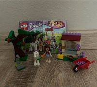 Lego Friends Olivia mit Pferd 41003 Schleswig-Holstein - Nübbel Vorschau