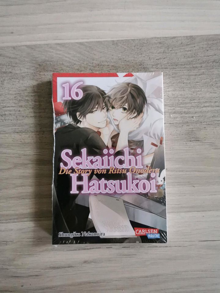 Manga:Sekaiichi Hatsukoi, Die Story von Ritsu Onodera in Dresden