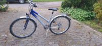 Fischer Damenfahrrad 28 Zoll Niedersachsen - Saterland Vorschau