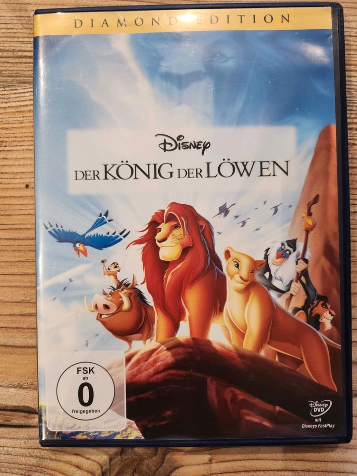 Kinder DVD in Ribbesbüttel