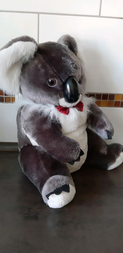 XXL Bastitoy Koala sucht neues Zuhause selten in Geisingen