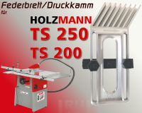 Federbrett Druckkamm für Holzmann TS 250 Tischkreissäge Schleswig-Holstein - Glücksburg Vorschau
