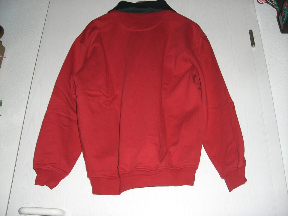 GILBERTO Pullover Herren Rot Gr. L Baumwolle sehr guter Zustand in Liederbach