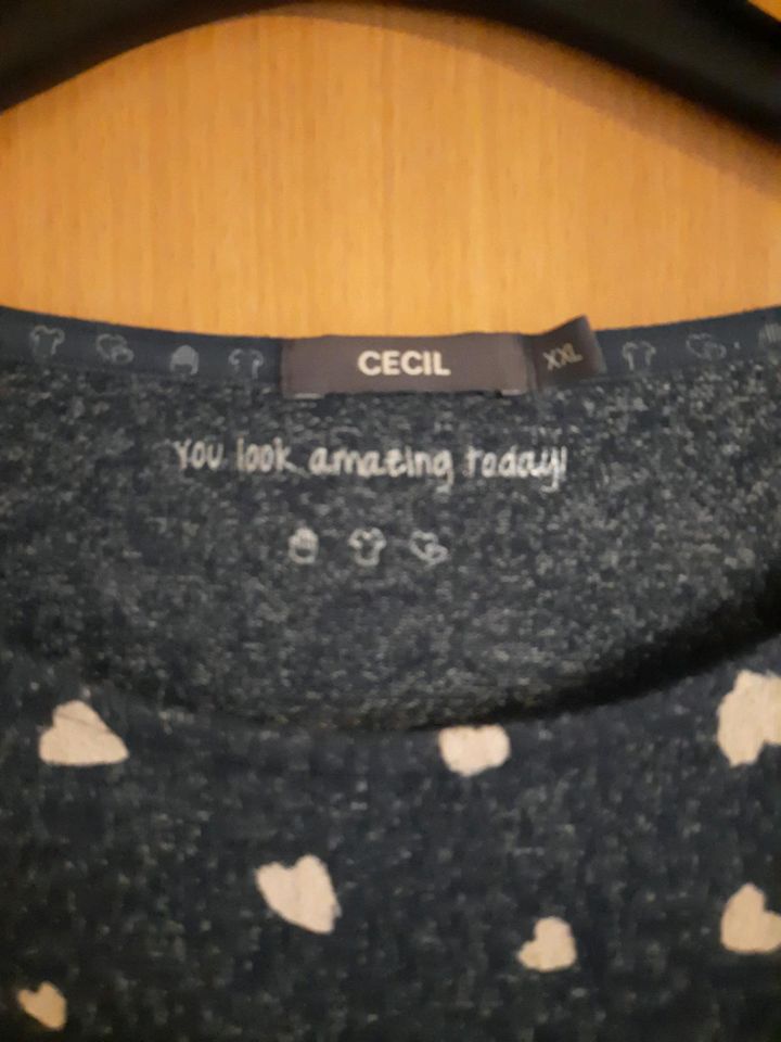 ❣️⭐️❣️NEUWERTIGER PULLI VON"CECIL"GR.XXL❣️⭐️❣️ in Overath