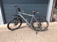 Mountainbike Conway MS 427 XL 56 cm unisex grau neongelb Nordrhein-Westfalen - Bad Berleburg Vorschau