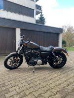 Harley Davidson 883 Iron Sportster Nordrhein-Westfalen - Erkrath Vorschau