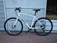 Trek FX 3 Disc (L) 2024 Pankow - Karow Vorschau